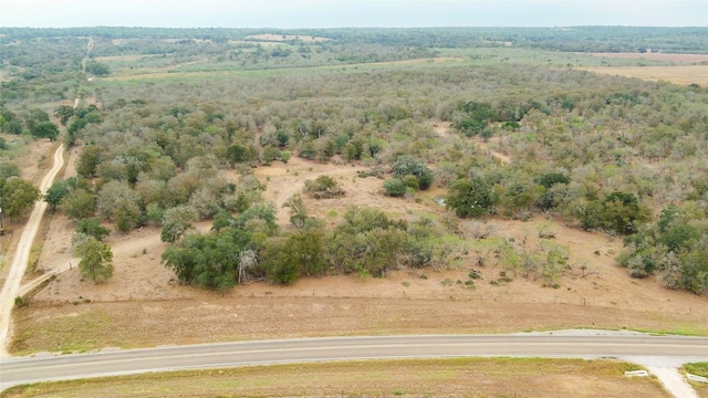 TBDTRACT2 Fm 3158, Dale, TX 78616 - photo 10