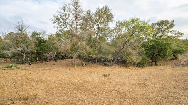 TBDTRACT2 Fm 3158, Dale, TX 78616 - photo 26