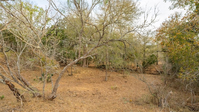 TBDTRACT2 Fm 3158, Dale, TX 78616 - photo 27