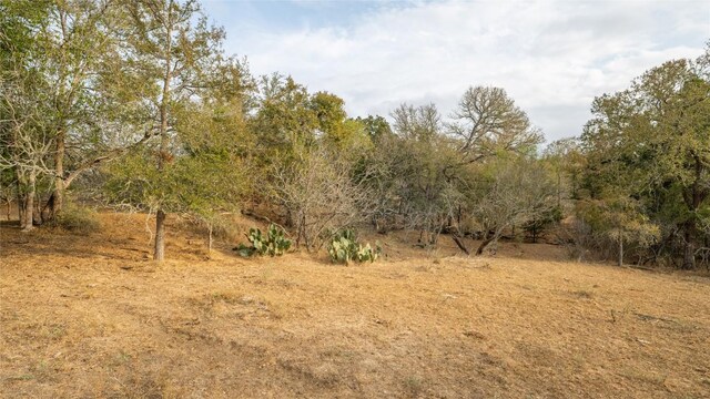 TBDTRACT2 Fm 3158, Dale, TX 78616 - photo 28