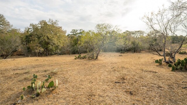 TBDTRACT2 Fm 3158, Dale, TX 78616 - photo 29