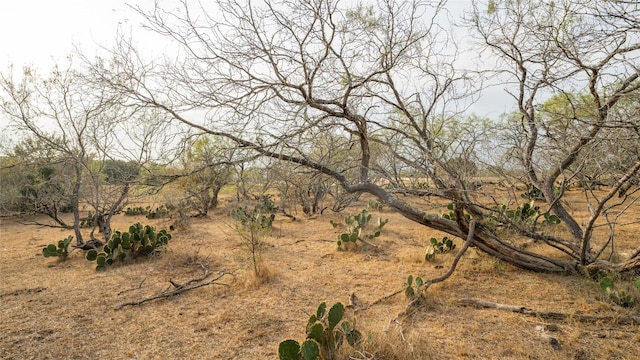 TBDTRACT2 Fm 3158, Dale, TX 78616 - photo 30