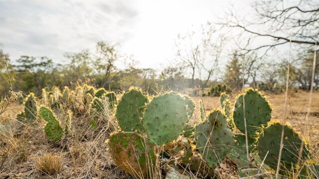 TBDTRACT2 Fm 3158, Dale, TX 78616 - photo 31