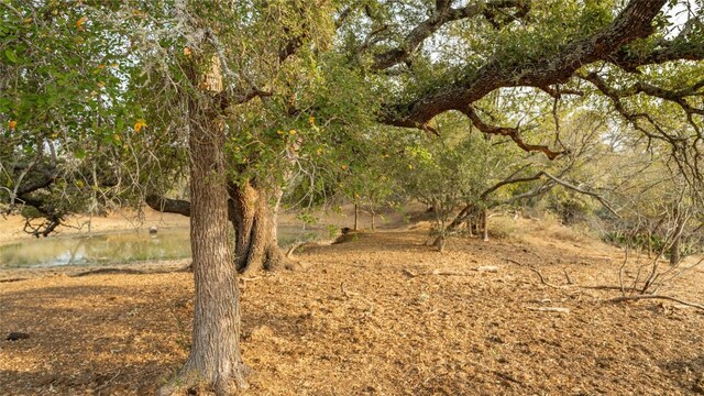 TBDTRACT2 Fm 3158, Dale, TX 78616 - photo 32