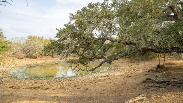 TBDTRACT2 Fm 3158, Dale, TX 78616 - photo 33