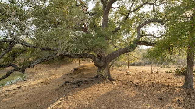 TBDTRACT2 Fm 3158, Dale, TX 78616 - photo 34
