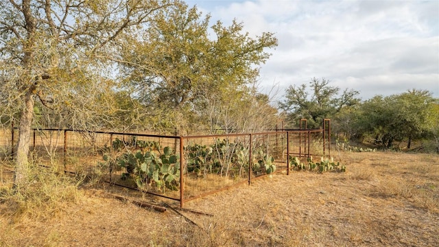TBDTRACT2 Fm 3158, Dale, TX 78616 - photo 35