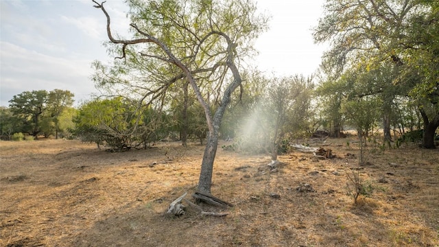 TBDTRACT2 Fm 3158, Dale, TX 78616 - photo 37