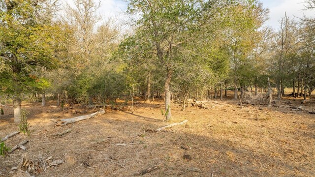 TBDTRACT2 Fm 3158, Dale, TX 78616 - photo 38