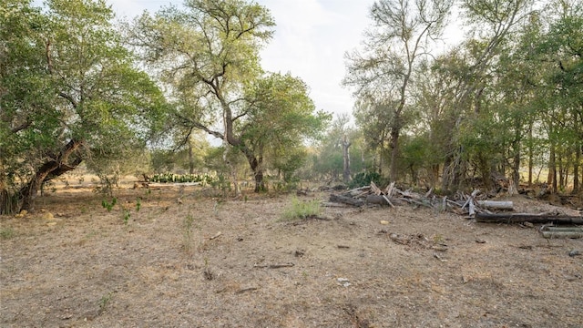 TBDTRACT2 Fm 3158, Dale, TX 78616 - photo 39