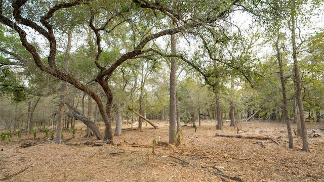 TBDTRACT2 Fm 3158, Dale, TX 78616 - photo 17