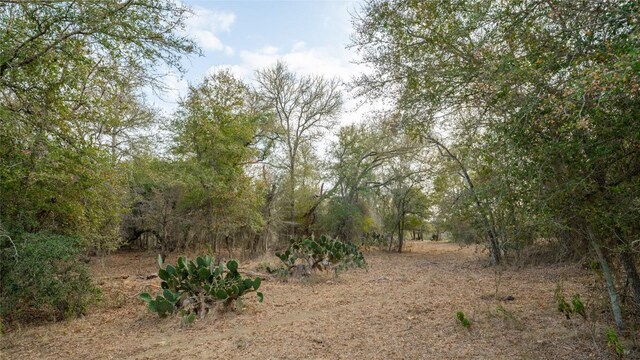 TBDTRACT2 Fm 3158, Dale, TX 78616 - photo 18