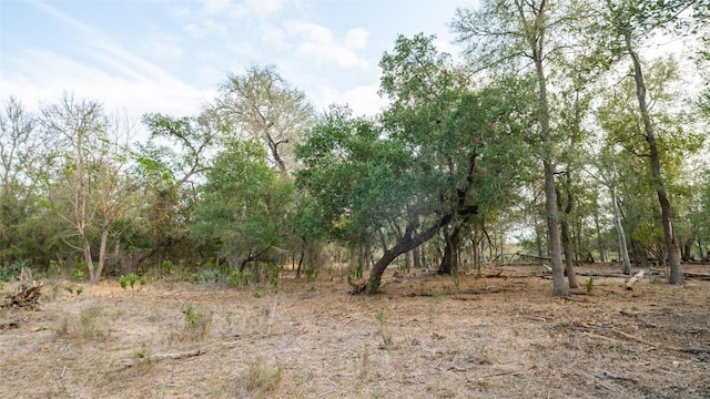 TBDTRACT2 Fm 3158, Dale, TX 78616 - photo 19
