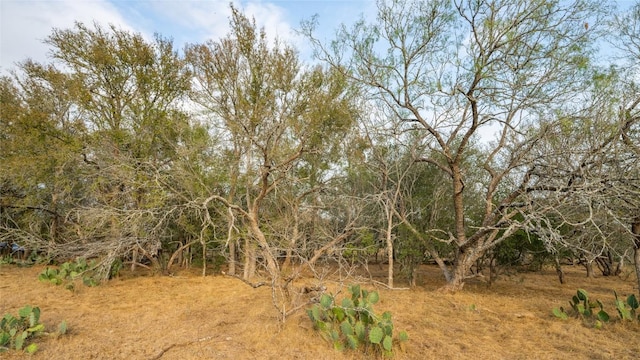 TBDTRACT2 Fm 3158, Dale, TX 78616 - photo 23