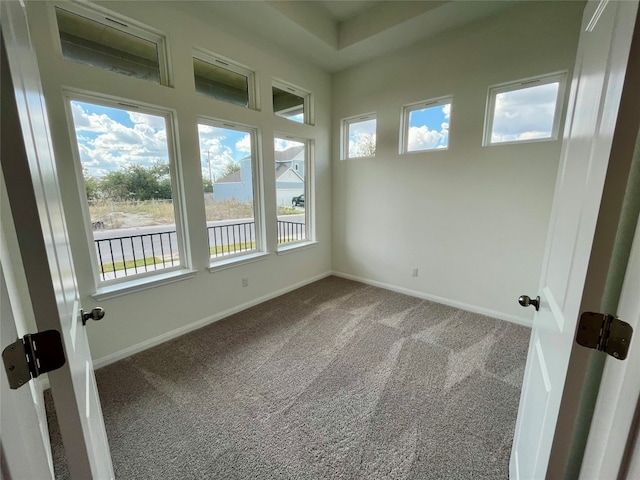 carpeted empty room with plenty of natural light