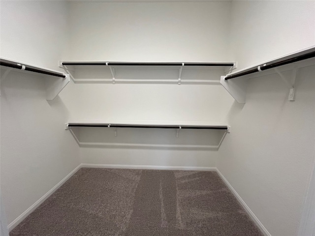 spacious closet featuring carpet