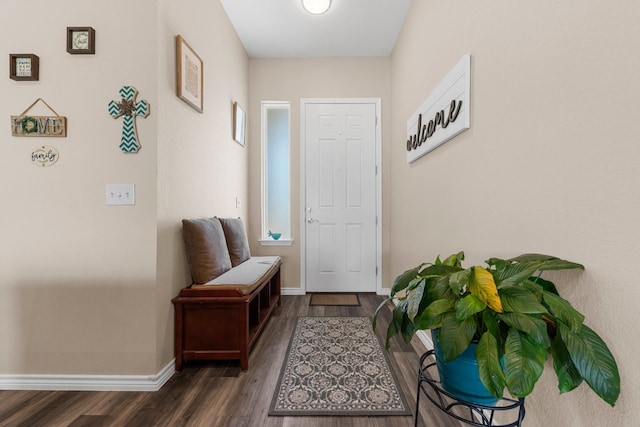 interior space with dark wood-type flooring