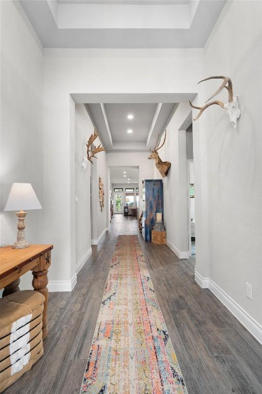 hall featuring a tray ceiling and dark hardwood / wood-style flooring