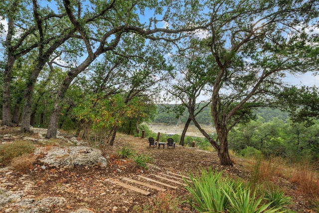 view of landscape