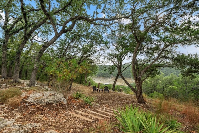 18616 Riverchase Dr, Jonestown, TX 78645 - photo 24
