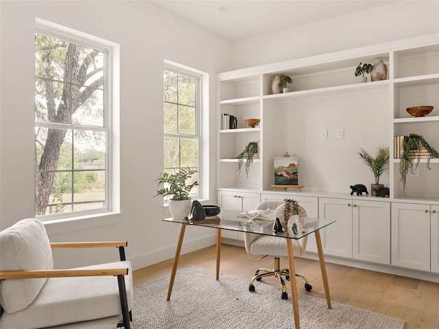 office featuring light hardwood / wood-style flooring