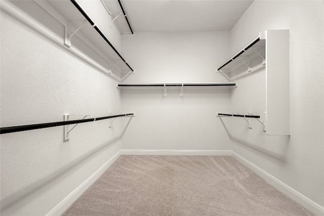 spacious closet with carpet floors