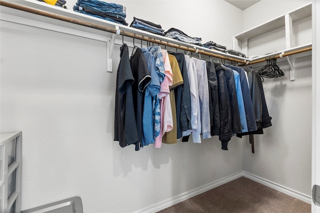 walk in closet with carpet floors