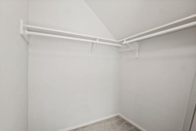 spacious closet featuring carpet floors and lofted ceiling