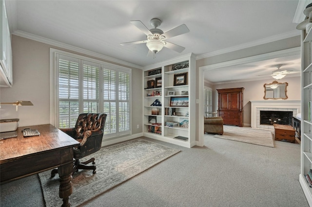 carpeted office featuring ceiling fan and ornamental molding