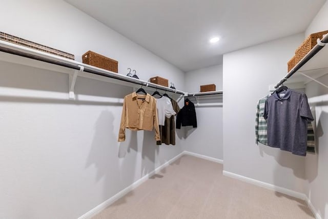 spacious closet featuring carpet floors