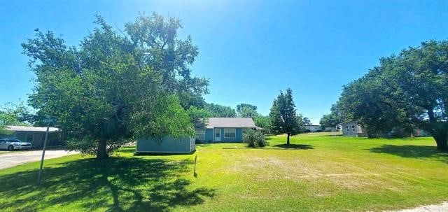 view of yard with a storage unit