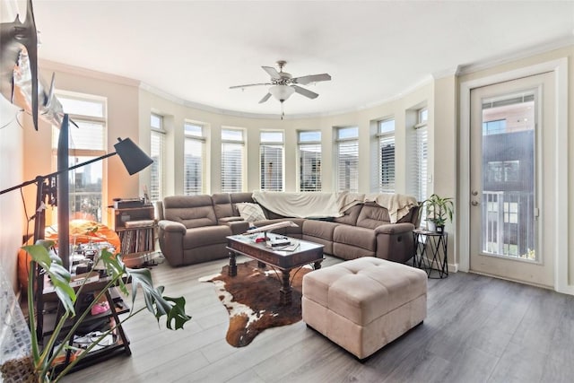 living room with hardwood / wood-style flooring, ornamental molding, and ceiling fan