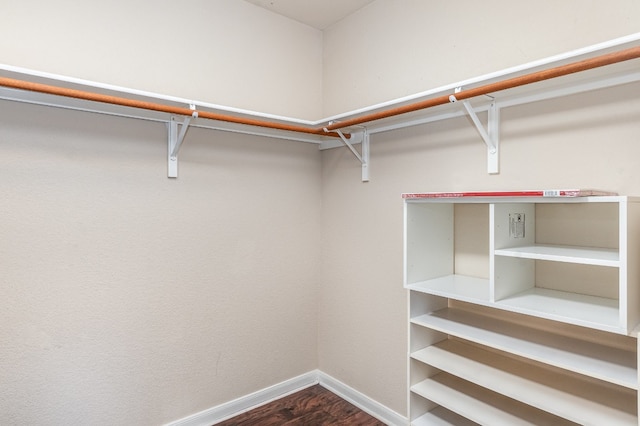 spacious closet with wood-type flooring