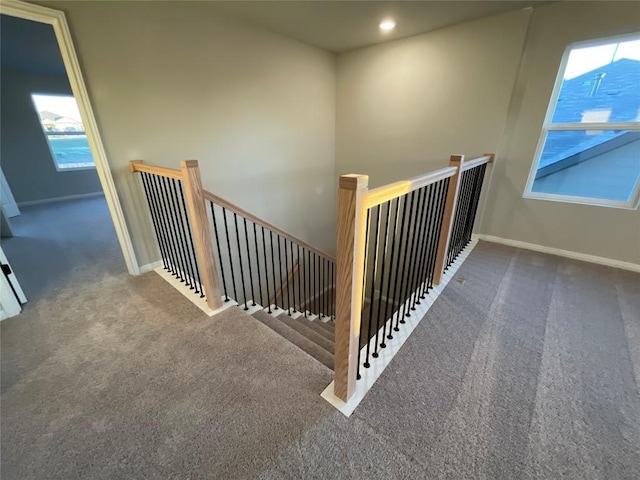 stairs with carpet floors