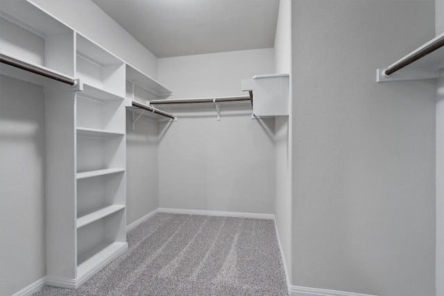 132 Scenic Hills Cir, Georgetown, TX 78628 - spacious closet with carpet flooring