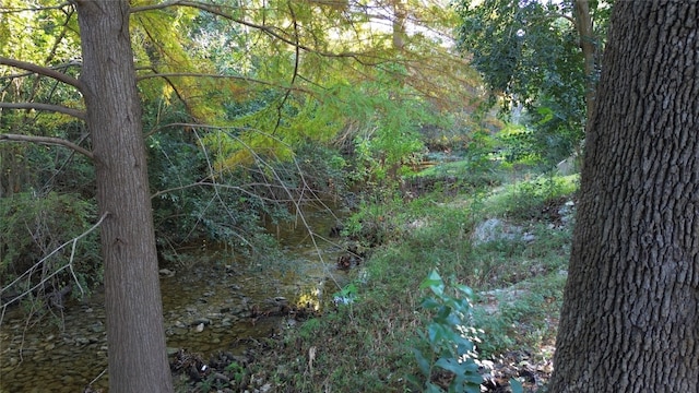 view of landscape