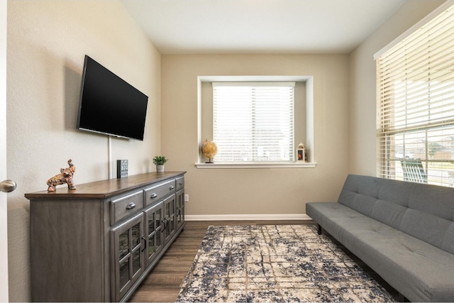 living room with dark hardwood / wood-style flooring