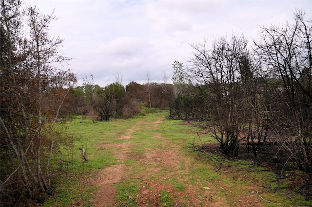 130 1st St, Bastrop TX, 78602 land for sale