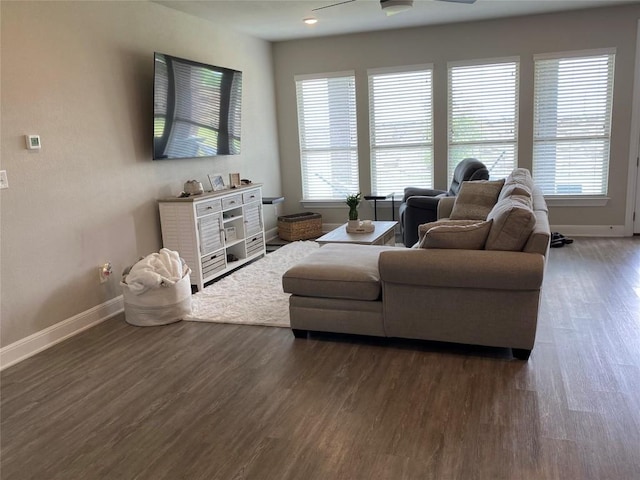 living room featuring ceiling fan, dark hardwood / wood-style flooring, and a wealth of natural light