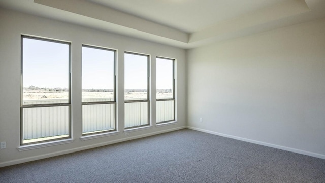 unfurnished room with carpet and a raised ceiling