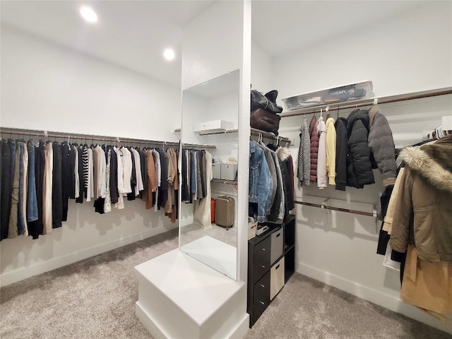 walk in closet with carpet flooring