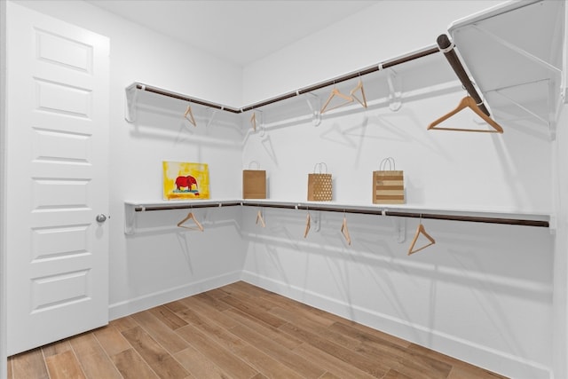 spacious closet featuring hardwood / wood-style floors