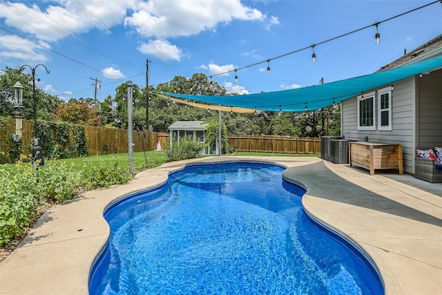 view of pool with a shed and a patio