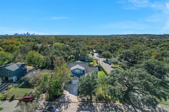 2717 Geraghty Ave, Austin, TX 78757 - aerial view of a forest