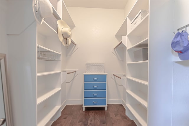 2717 Geraghty Ave, Austin, TX 78757 - spacious closet with dark wood-style flooring