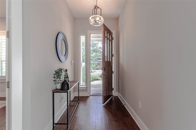 2717 Geraghty Ave, Austin, TX 78757 - foyer entrance with plenty of natural light and dark wood-type flooring