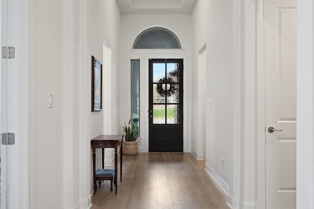 foyer with wood-type flooring