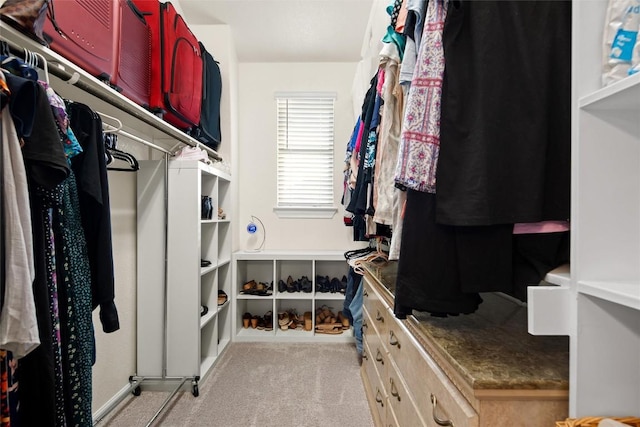 walk in closet with light colored carpet