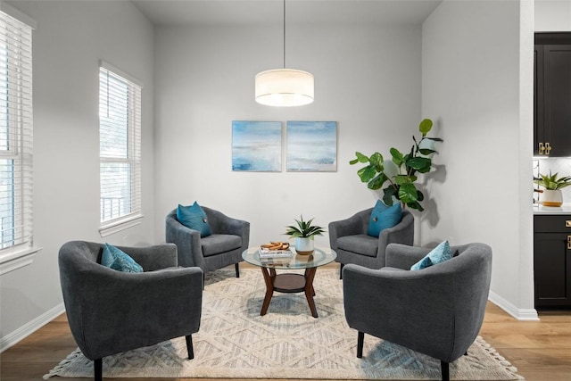 living room with light hardwood / wood-style flooring