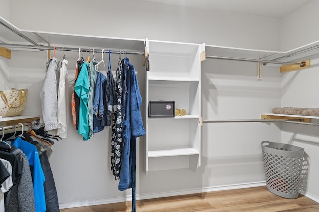 spacious closet with wood-type flooring